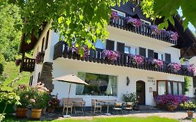 Pension Alpenhof